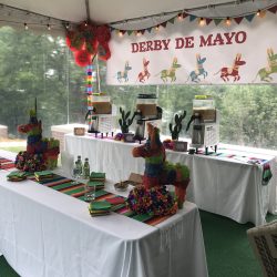 frozen margarita machine rentals